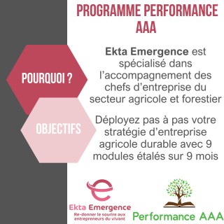 copy of 